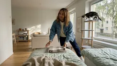 Miksi kissa ei tule sänkyyn nukkumaan? Usein syy löytyy turvallisuudesta ja rutiineista